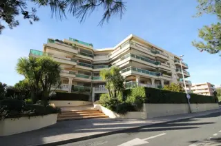 Miniature 4 - Appartement 1 chambre à louer à St laurent du var du bien immobilier à ST LAURENT DU VAR