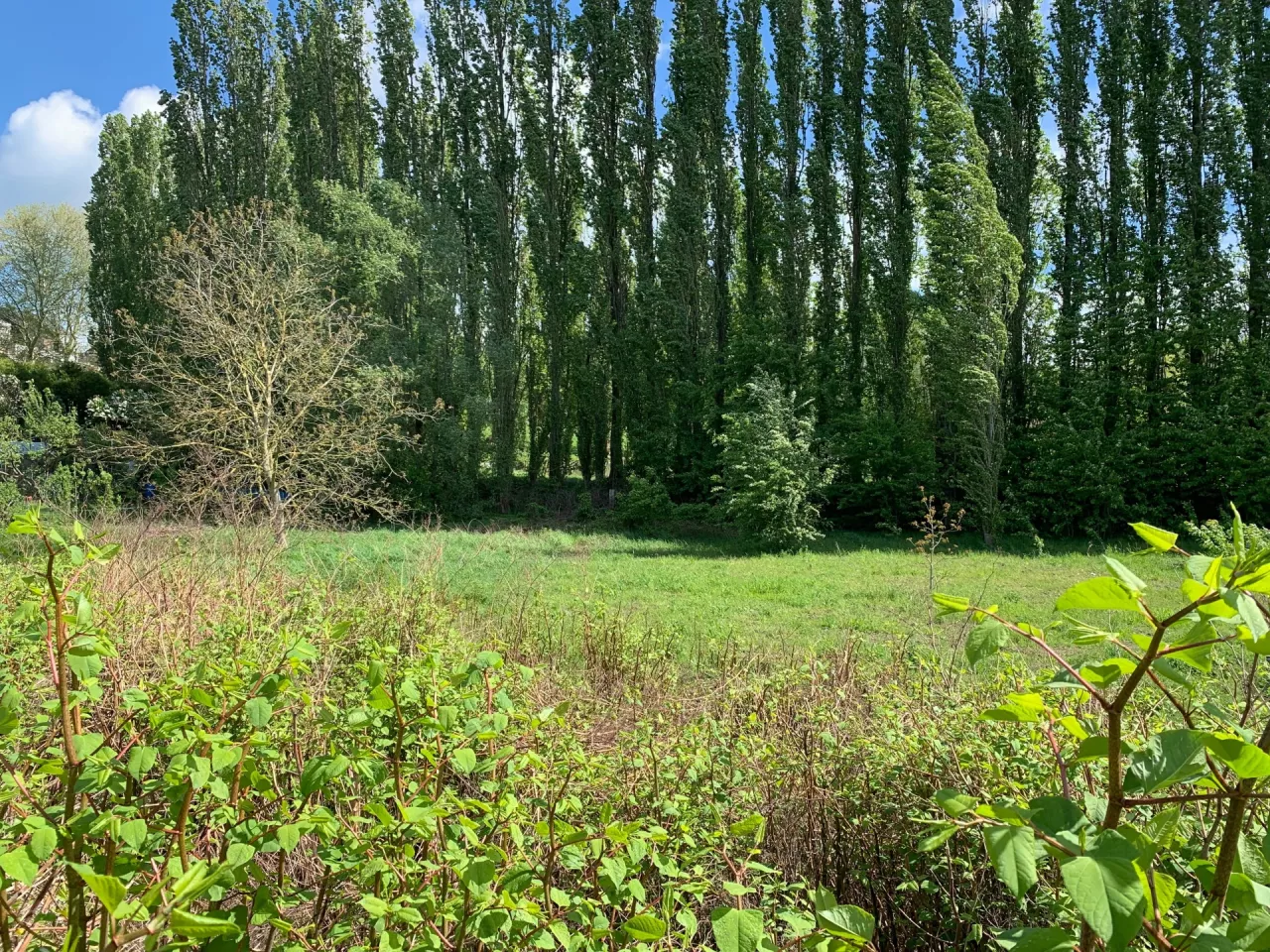 Terrain à vendre à Haine-saint-paul - Photo 2 du bien immobilier à Haine-Saint-Paul