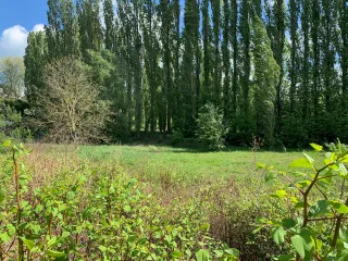 Photo secondaire - Terrains non constructibles - rue de la Liberté